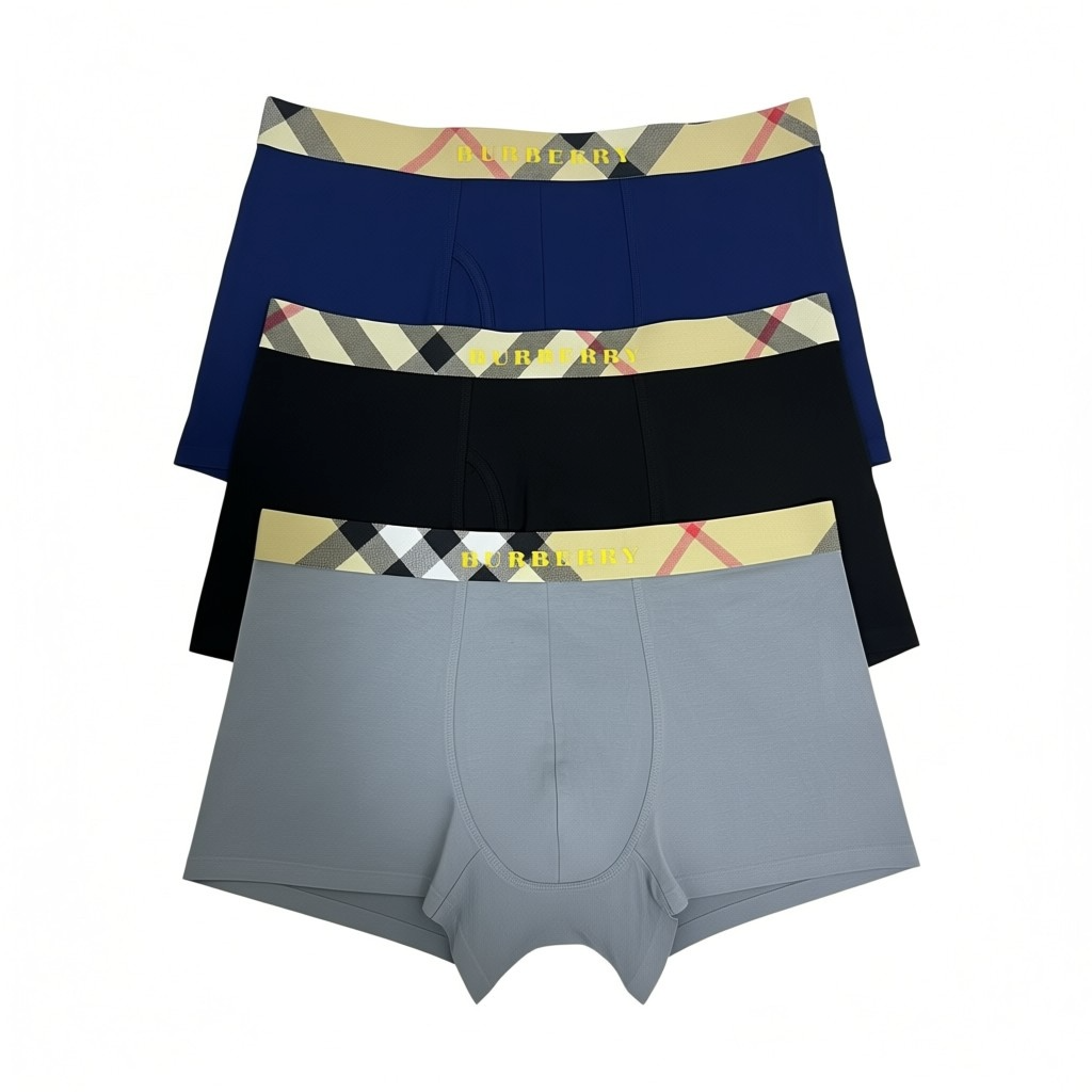 Burberry Icon Check Waistband Boxer Briefs β Premium 3-Pack π©²β¨