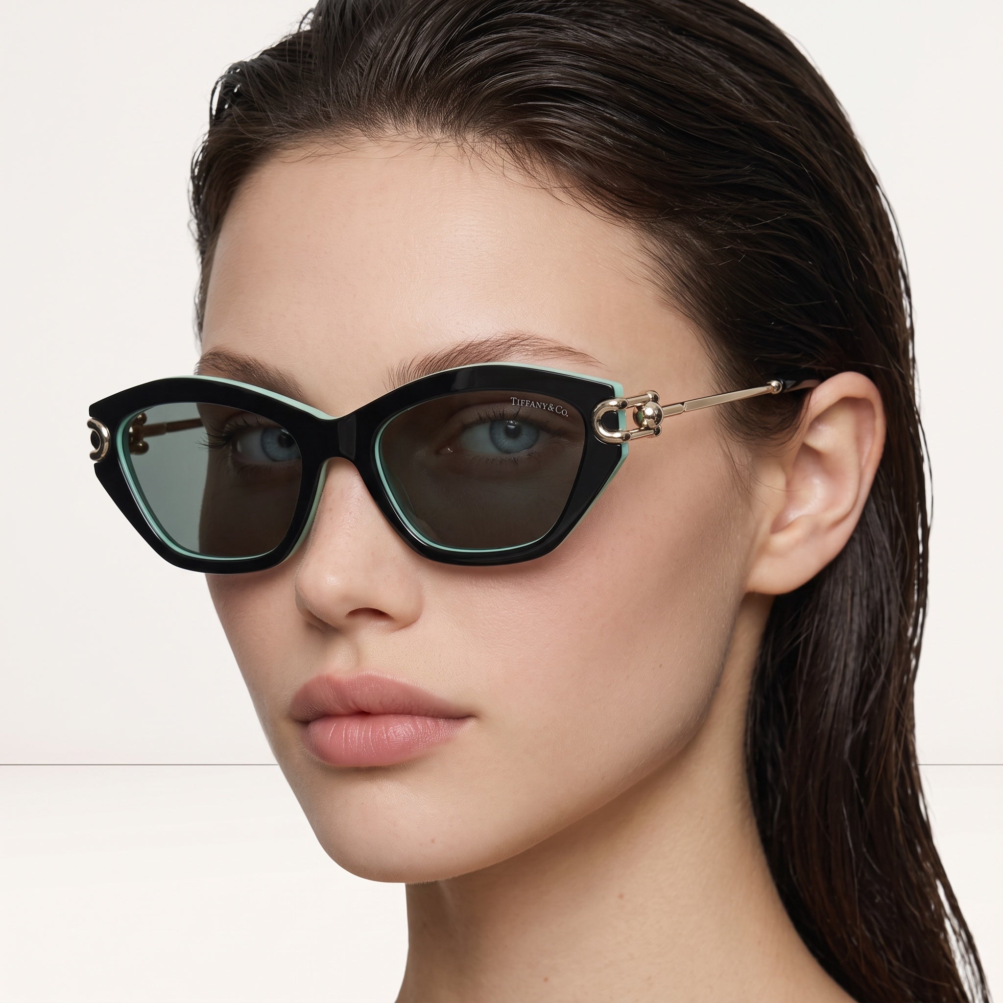 Tiffany & Co. Sunglasses β Black Mint Cat-Eye π