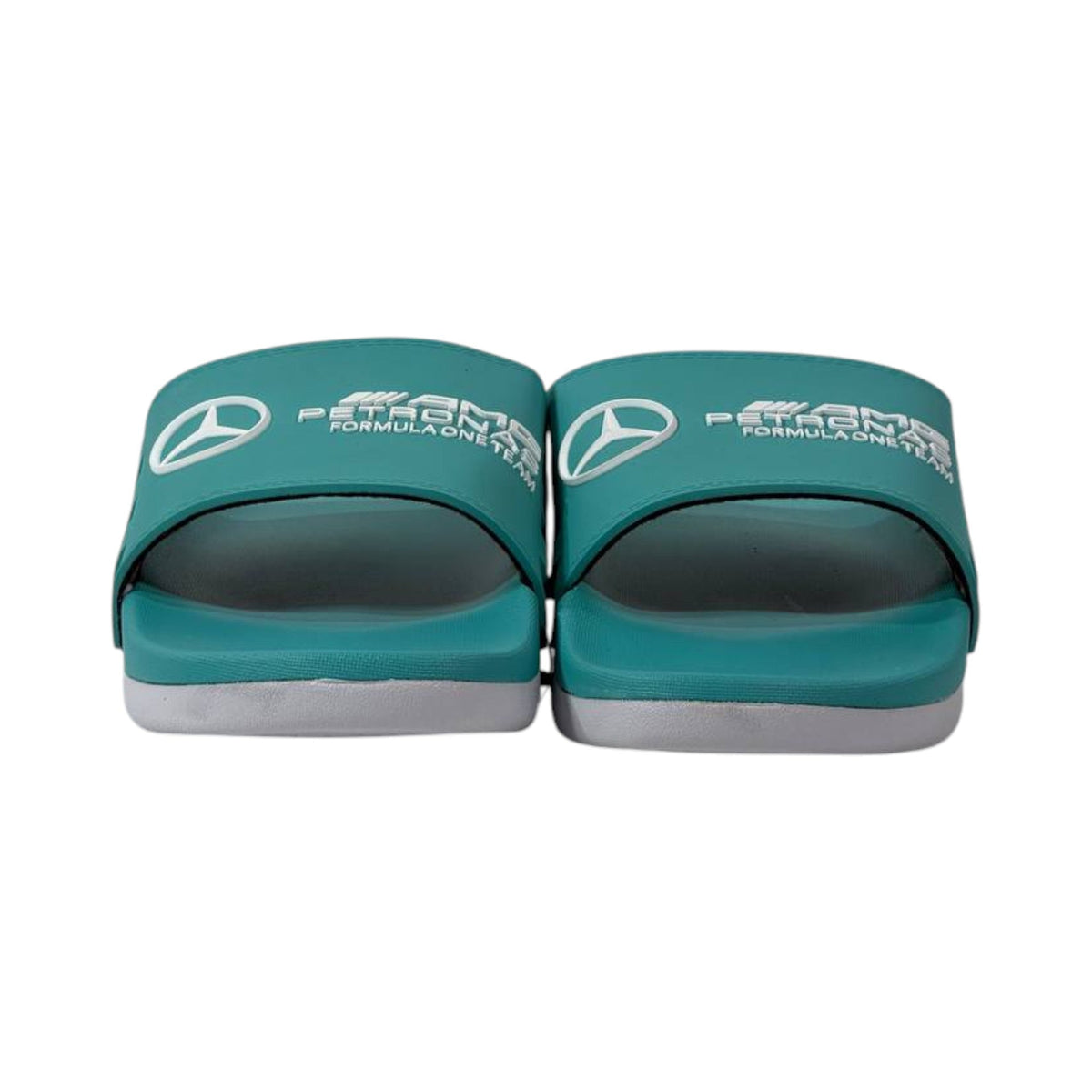 🏁 Mercedes-AMG Petronas Formula One Team Slides 💚⚡