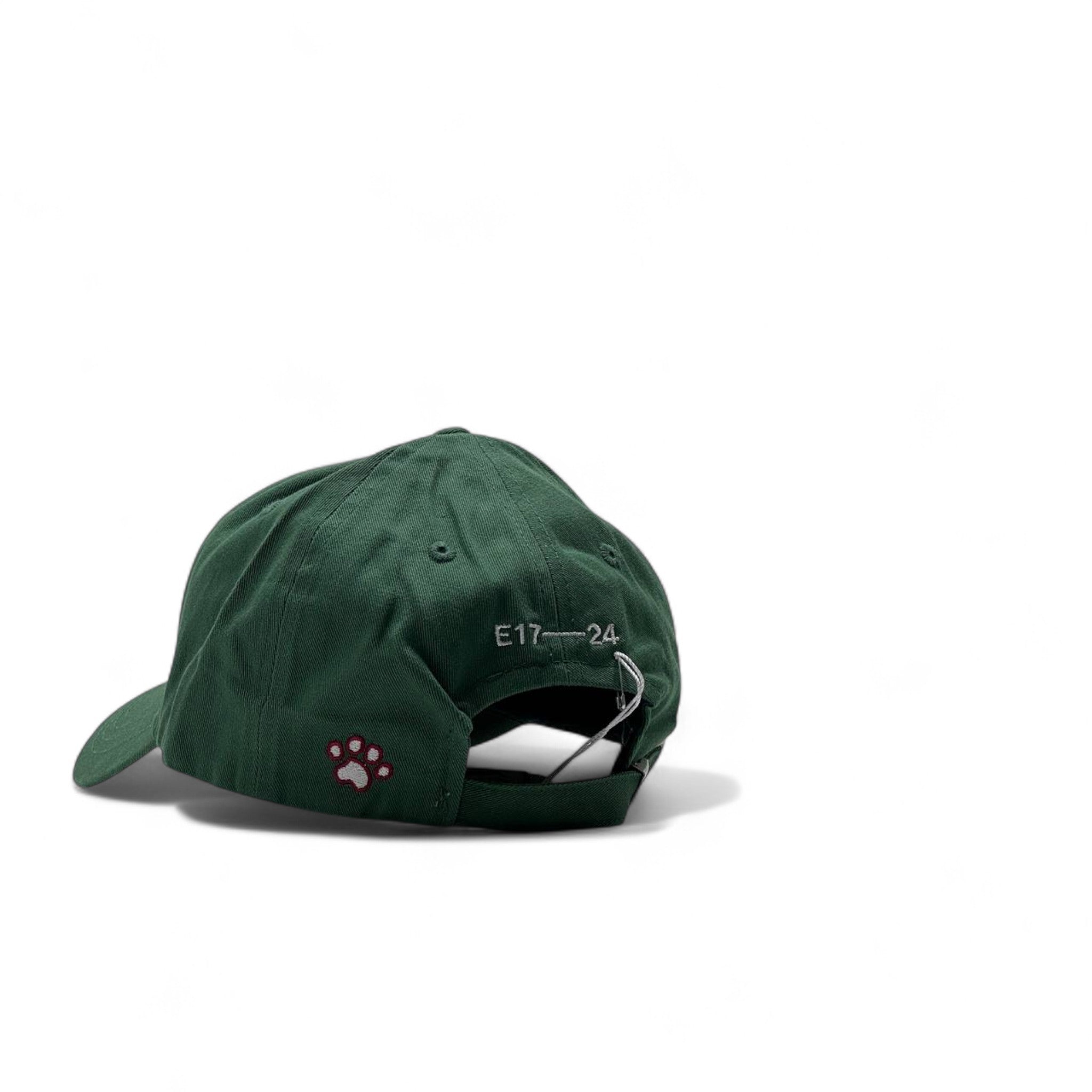 emis’ Forest Green Embroidered Cap – Deep Tone Streetwear Vibes 🧢🔥