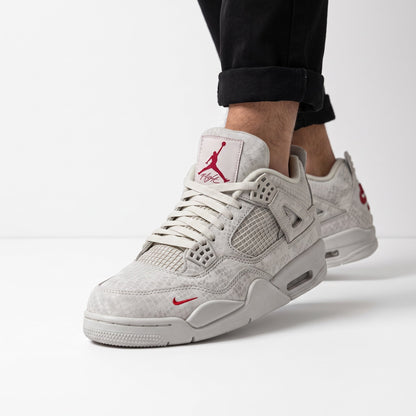 Air Jordan 4 Snakeskin — Light Grey