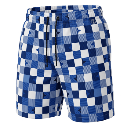 Louis Vuitton Damier Swim Shorts – Blue & White 🌊💙