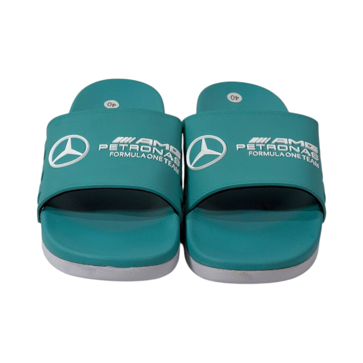 🏁 Mercedes-AMG Petronas Formula One Team Slides 💚⚡